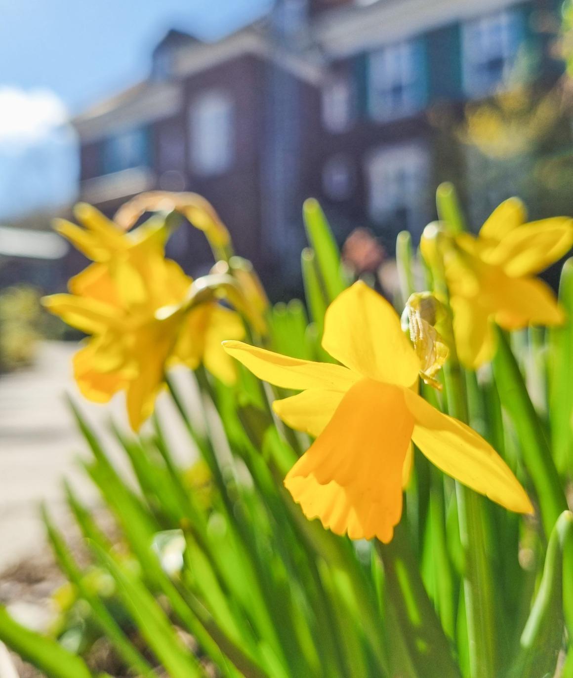 Ostern in Stellshagen