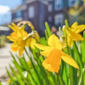 Ostern in Stellshagen