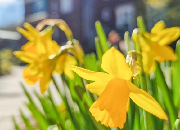 Ostern in Stellshagen