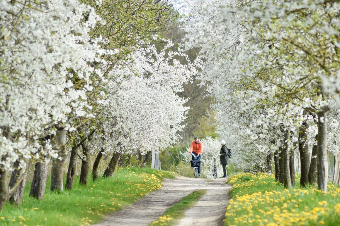 Himmelfahrt in Stellshagen