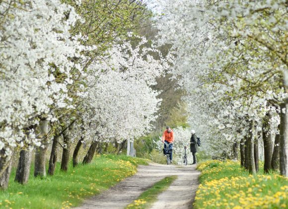 Himmelfahrt in Stellshagen