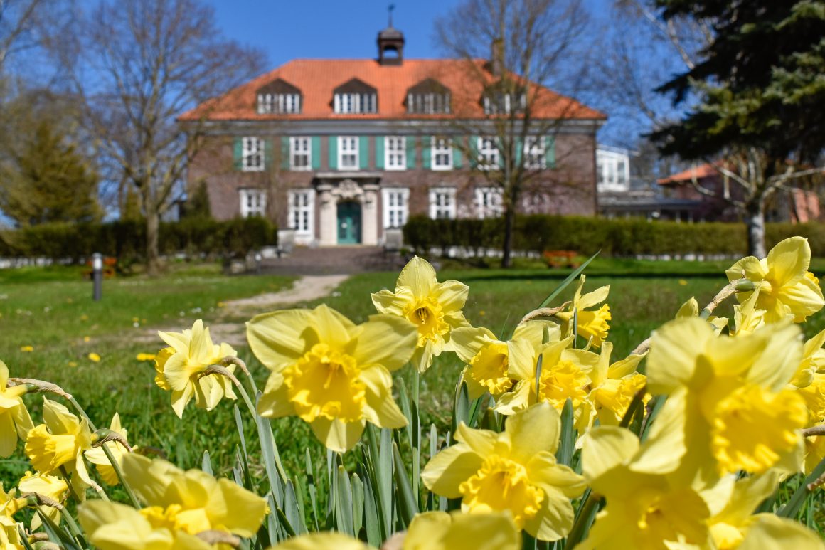 Frühling in Stellshagen