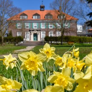 Frühling in Stellshagen