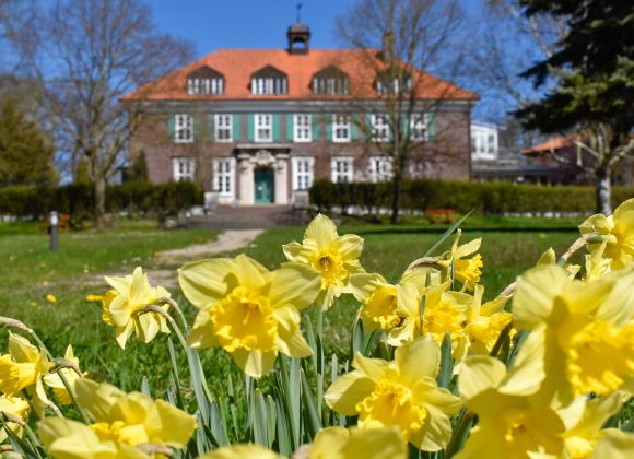 Frühling in Stellshagen