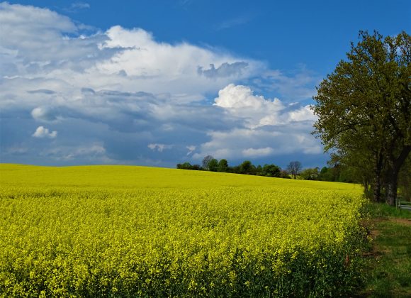 1. Mai in Stellshagen