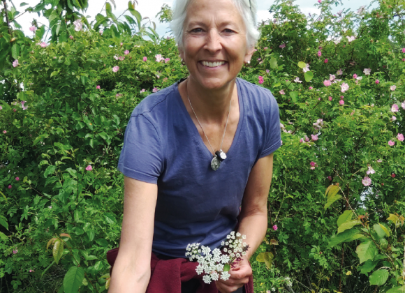 Essbare Kraftpflanzen für Dich