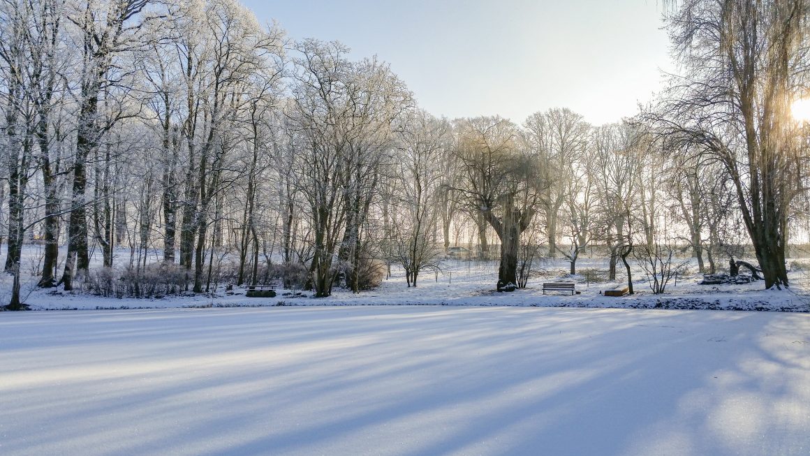 Winter Wiese Blick zum Teich Winter in Stellshagen