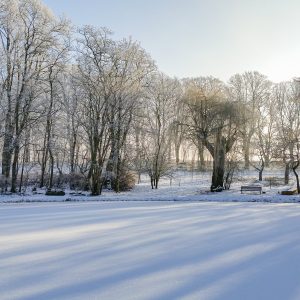 Winter in Stellshagen