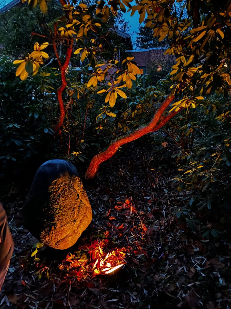 Stellshagener Adventszauber